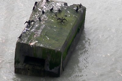 PDT batterie Ault 2.JPG
