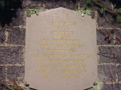 BILD0370.JPG