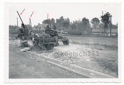 canons.jpg