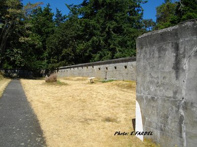 IMGP0822.JPG