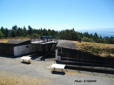 IMGP0828.JPG