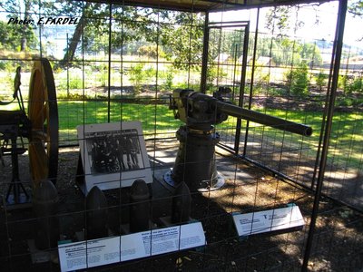 IMGP0839.JPG