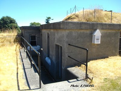 IMGP0854.JPG