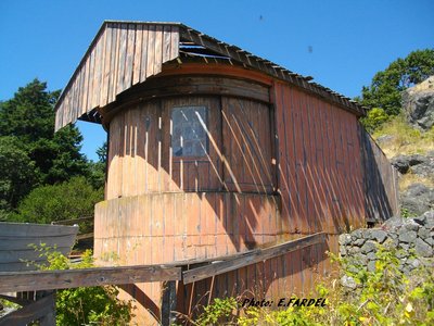 IMGP0894.JPG