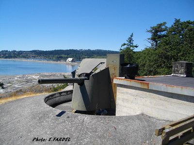 IMGP0903.JPG