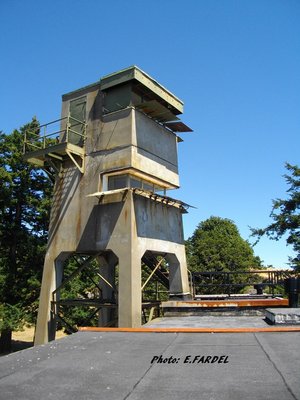 IMGP0907.JPG