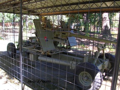 IMGP0914.JPG