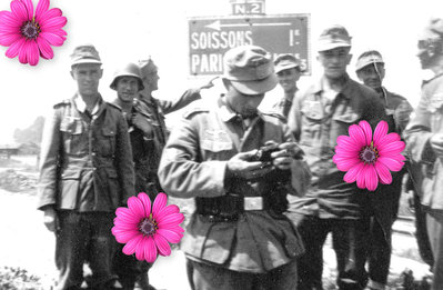 364.jpg