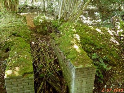 tilloy Z b site.jpg