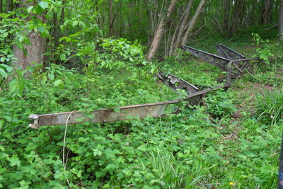 SDC10305.JPG
