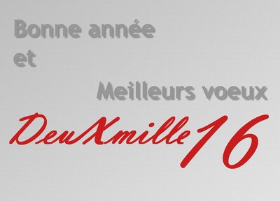 Bonne année 2016.jpg