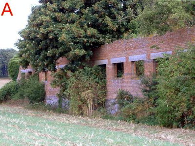 merle A site jpg.jpg