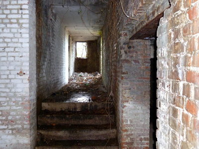 2011 merlemont ddd.jpg