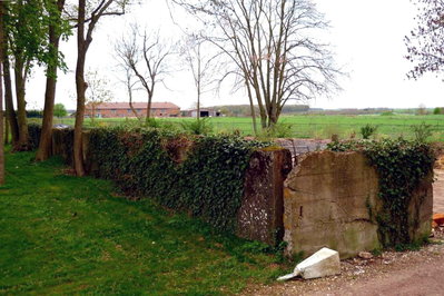emp i.jpg