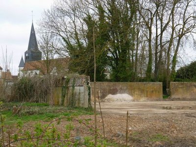 tille watteew .JPG