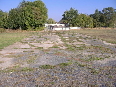 tille D.JPG