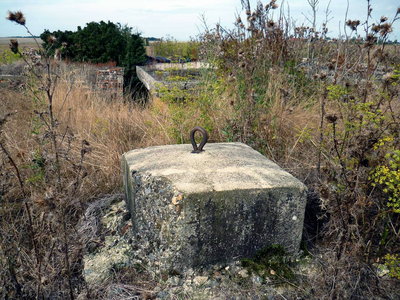2010 st rimault 1.jpg