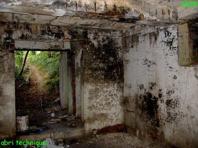 2010 st8 site.jpg