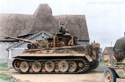morgny Tigre colorisé.jpg