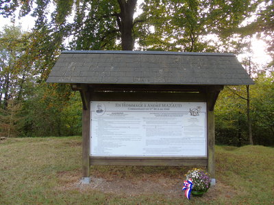 DSC09708.JPG