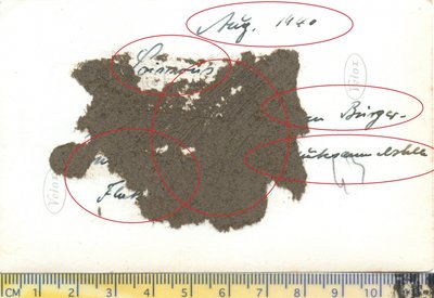 805586N24CHARSOISSONVERSO.jpg