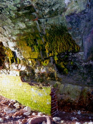 mar 6 site.jpg