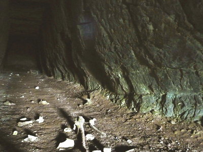 mar 7 site.jpg
