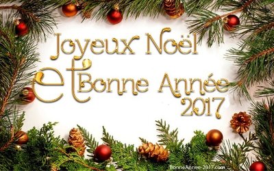 voeux noël et nouvel an.jpg