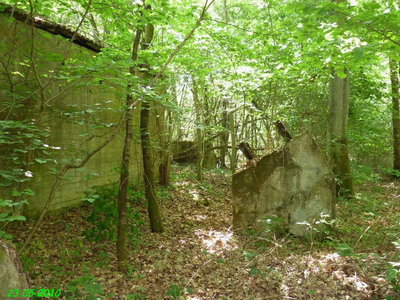 bonlier 2010.jpg