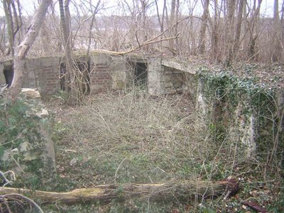 2860529492_1.jpg