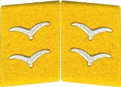 GILWEMCT-2T.jpg