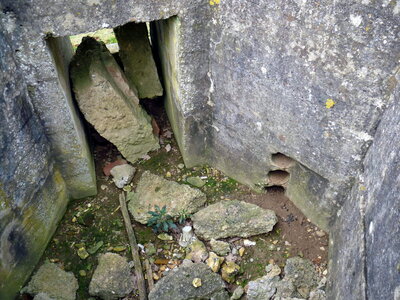2012 st v229 site a.jpg