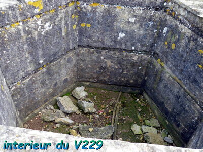 2012 st v229 site c.jpg