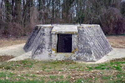 2012 st v229 site.jpg