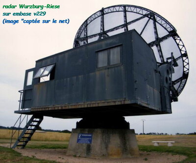 riese210 site.jpg