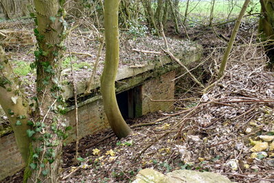 2012 st9c site.jpg