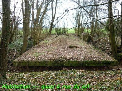 2012 st9b.jsite pg.jpg