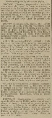25e demi-brigade de chasseurs alpins.jpg