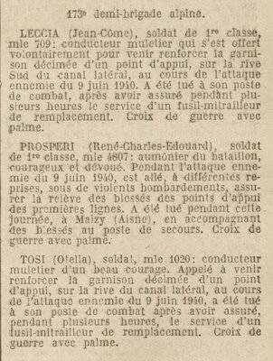 173e DBA LECCIA PROSPERI TOSI.jpg