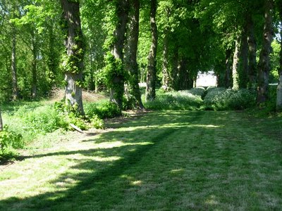 DSCN6125.JPG