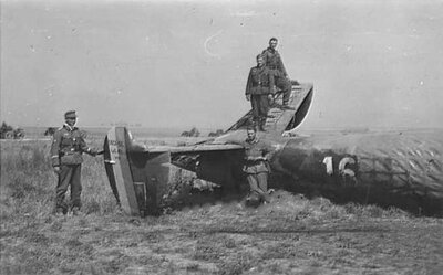 Leo 45 avec code 16 - 1.JPG