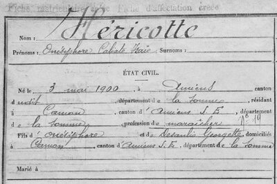HERICOTTE.jpg