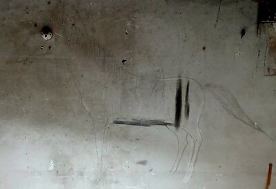 20250723_1.jpg