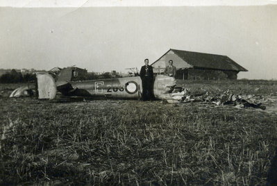 File0195.jpg