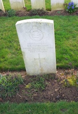 Sgt STURGEON WO AG 2.jpg