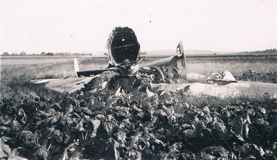 Potez 63-11 n° 161 GRI-36 Fourdrinoy - 5.jpg