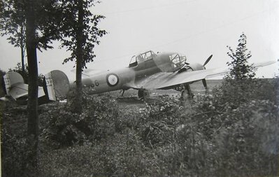 Potez 63-11 n° 156 - 10.jpg